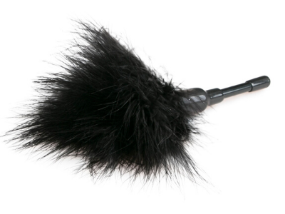 feather tickler toy for couple